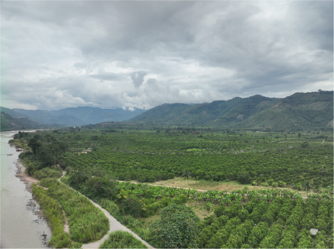 Zotani