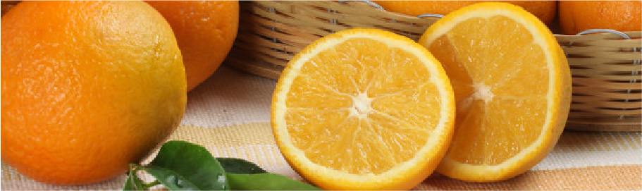 Naranjas Valencia