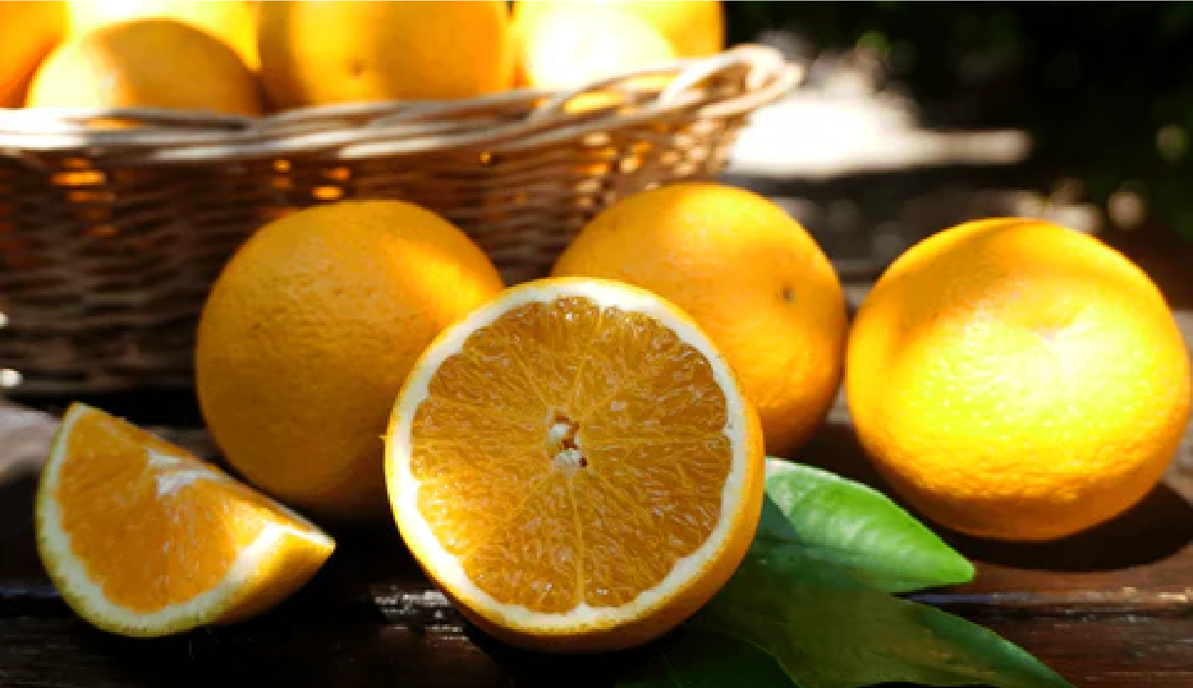 Jugosas Naranjas Valencia