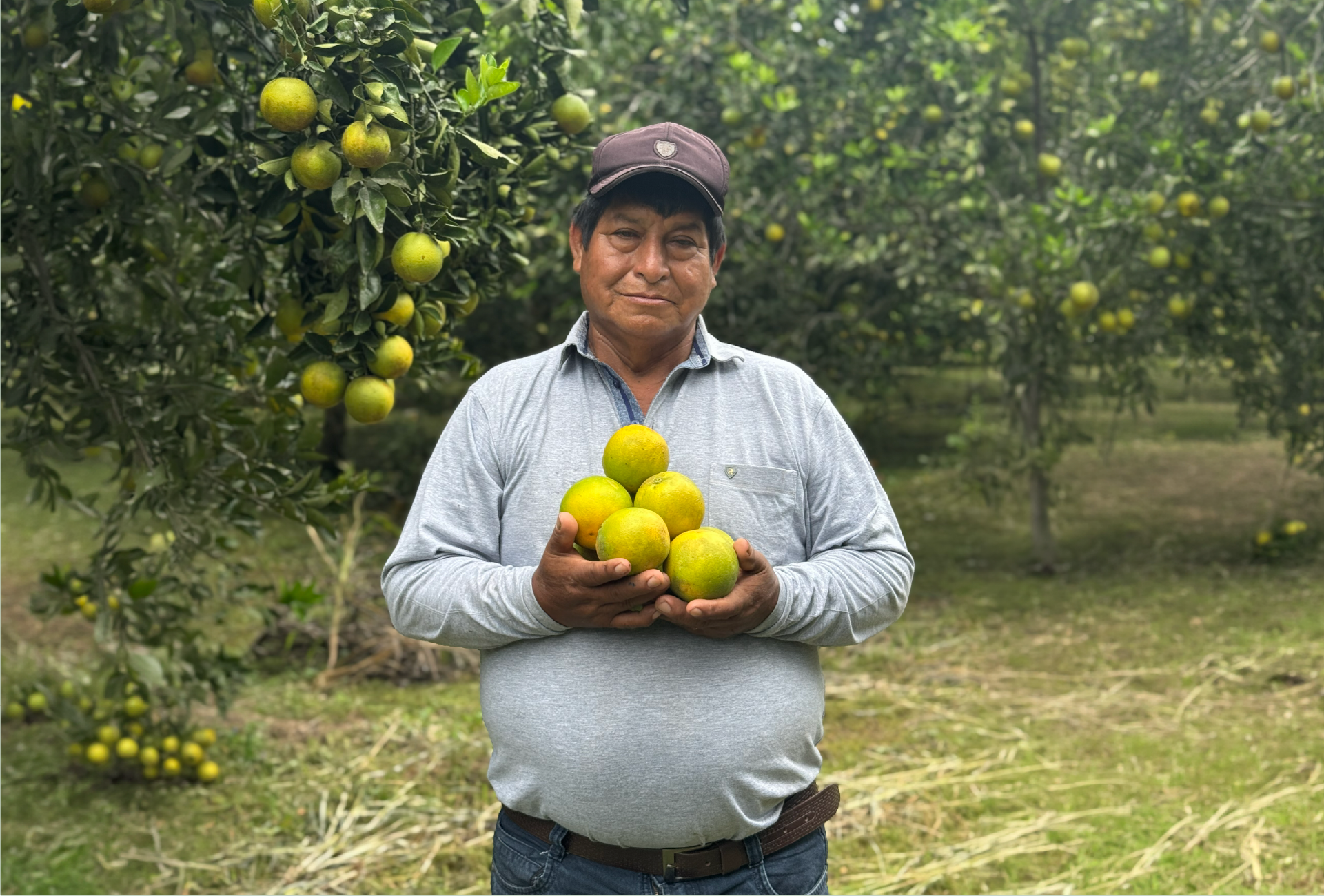 Producción Propia