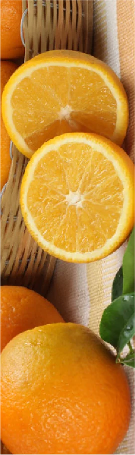 Naranjas Valencia