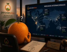 Hoy - Peruvian Citrus S.A.C.