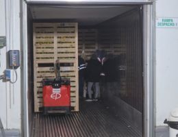 2011 - abastecimiento a exportadores con CLP de SENASA