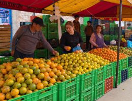 Principales mercados nacionales en Lima